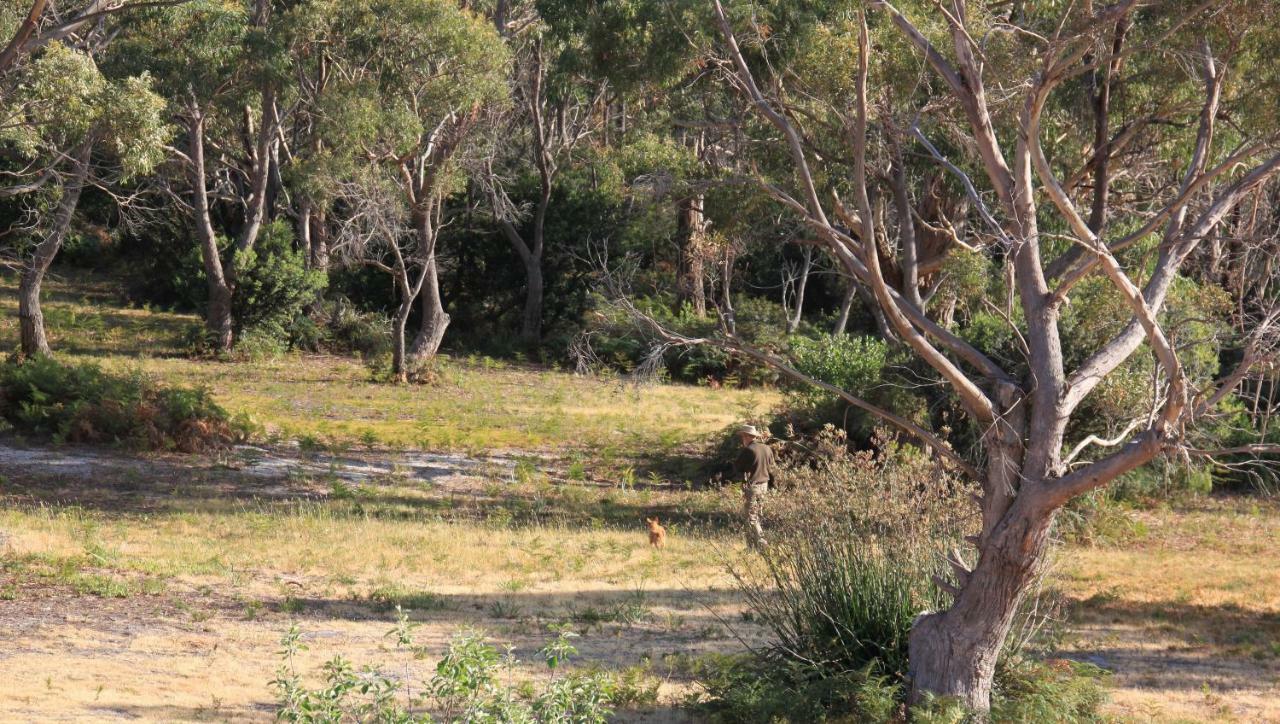 Bay Of Fires Seachange Ocean Frontage Binalong Bay Exterior foto